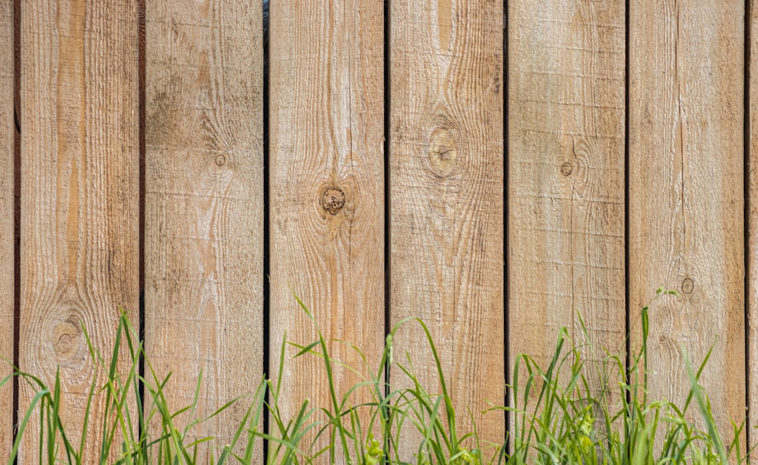 Tuinseizoen in Aalsmeer: kies het juiste hout en de juiste schutting