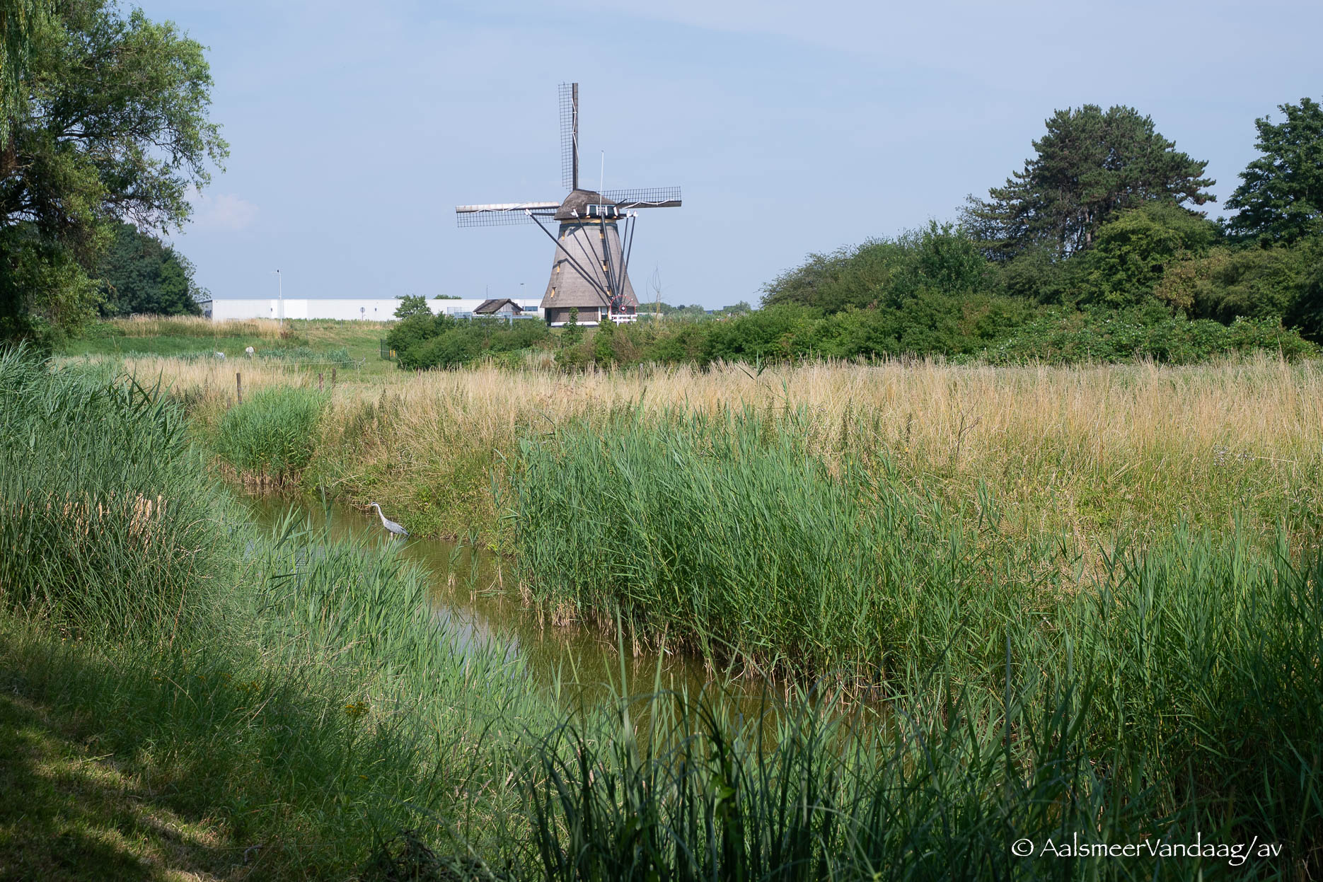 Binnenkort eerste schep in de grond voor ‘natuurlijk begraafpark’